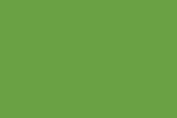 Dream Cushion- Green apple